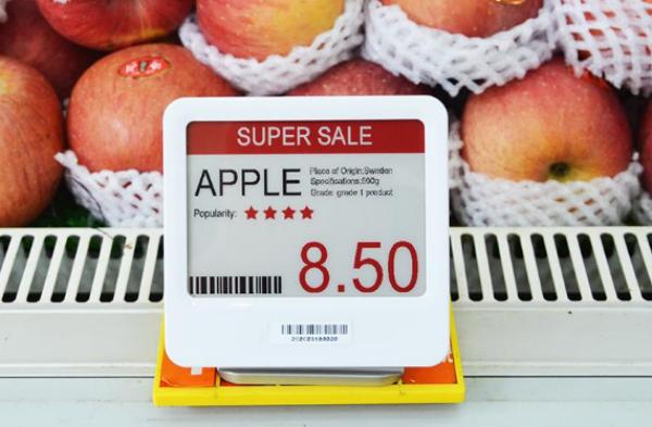 Top 10 Electronic Price Tag Brands in the World