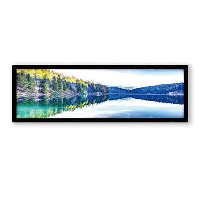 28" Stretched Bar LCD Display – Shelf Edge Digital Signage